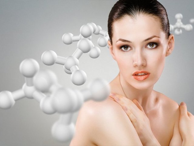 найбільший орган людини