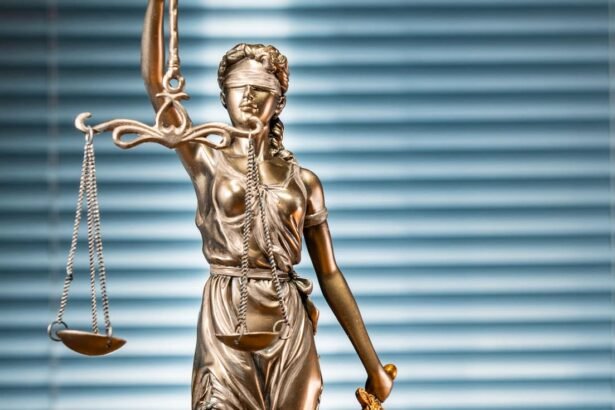 судова влада