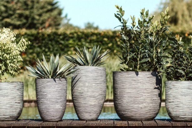 горшок для цветов