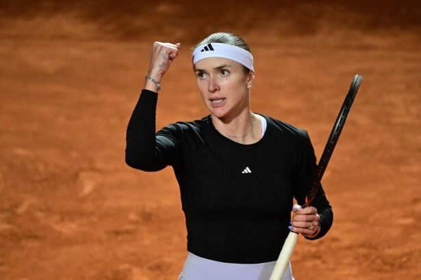 элина свитолина