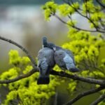 23 квітня свято