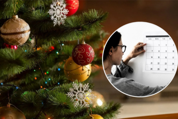 сколько дней до нового года