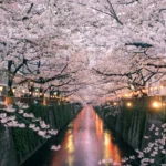 для українців