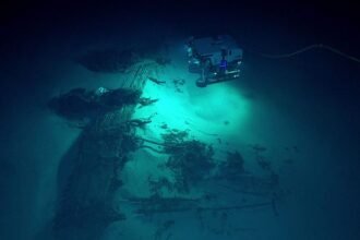 маріанська западина