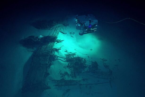 маріанська западина